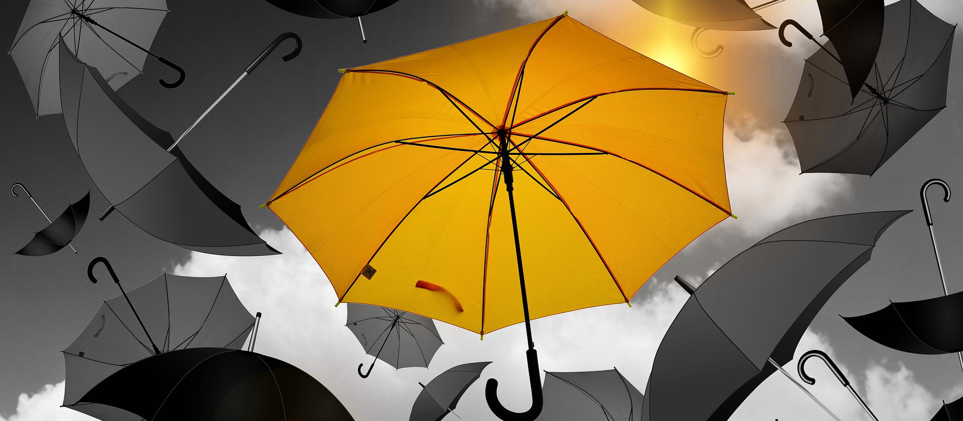 Der er fire hovedmaterialer til paraplytrin